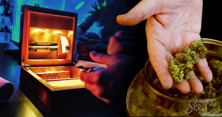 The 10 Best Spots To Stash Your Weed