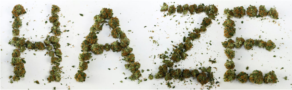 10 Best Strains to Party and Socialize- WeedSeedShop