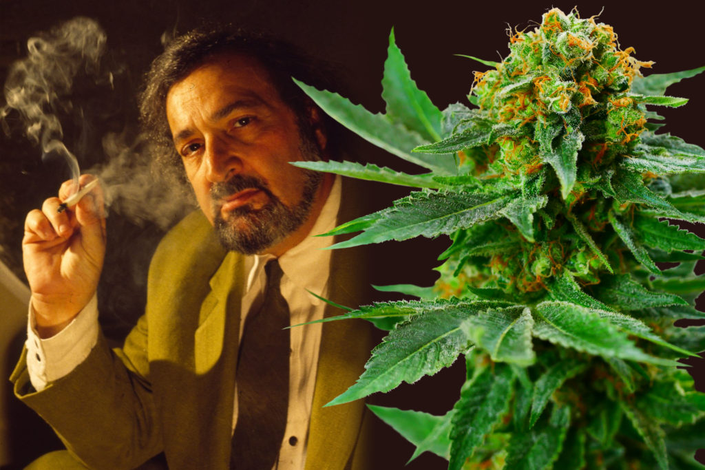 13 Wietsoorten vernoemd naar celebs - WeedSeedShop