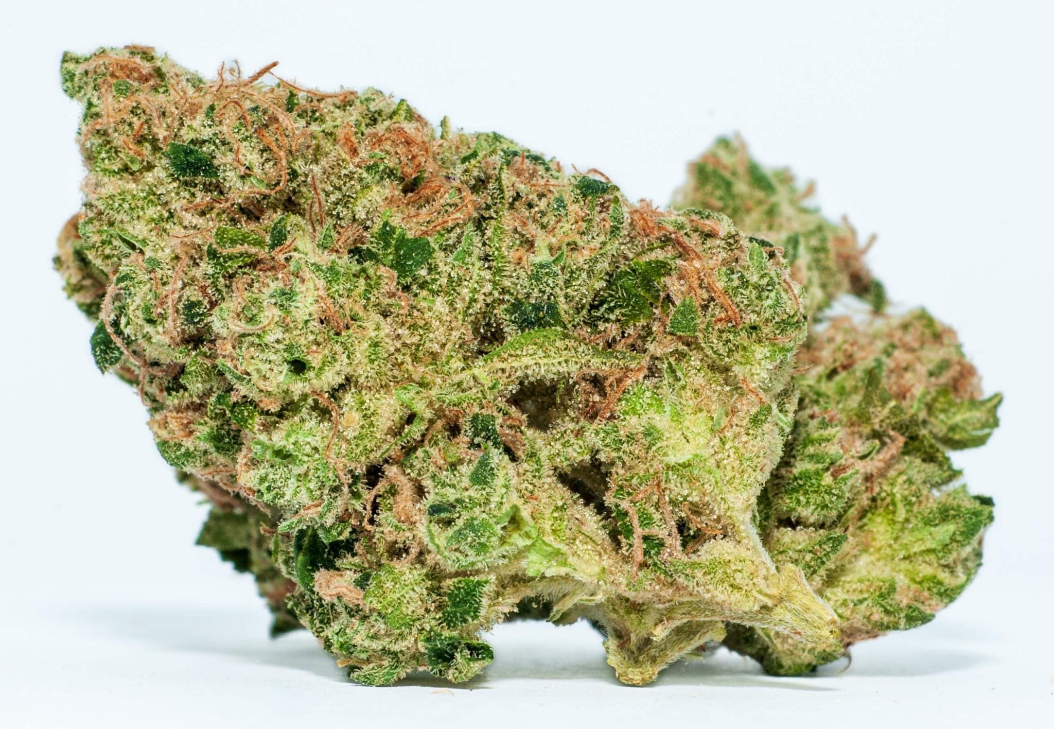 7 Best Humulene Weed Strains for Earthy Flavours - WeedSeedShop