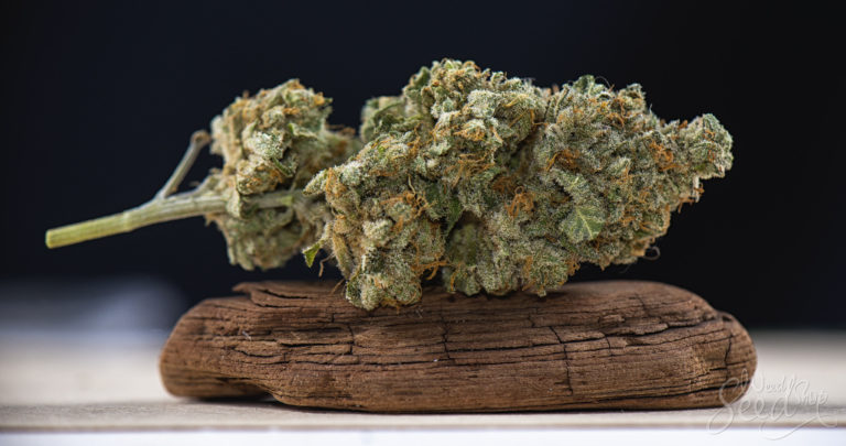 5 Ways To Rehydrate Your Weed