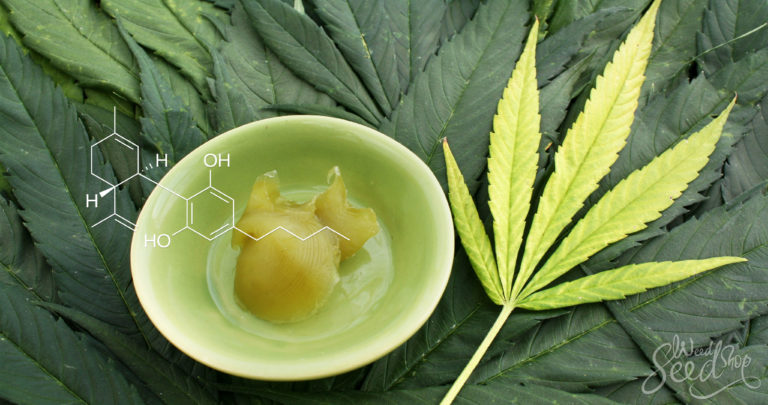 7 Manieren om je eigen CBD-crème te maken