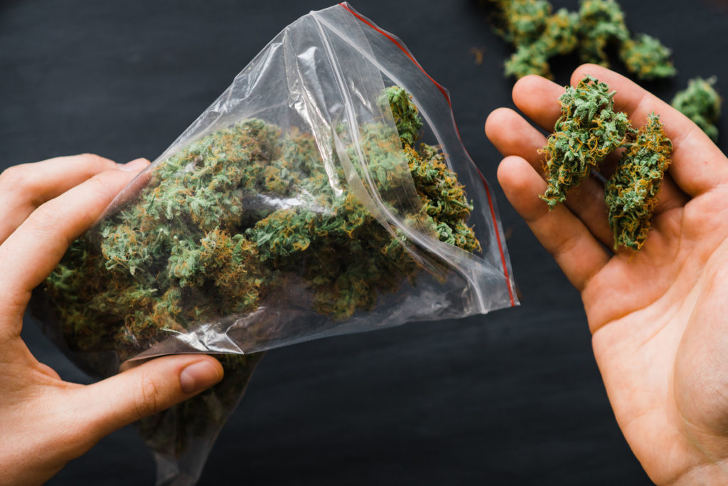9 Ways to Save Money on Weed- WeedSeedShop