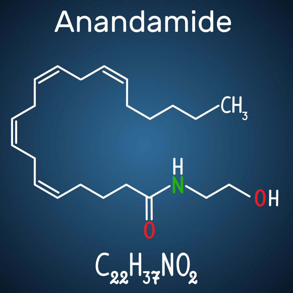 La anandamida y el CBD · WeBotanix