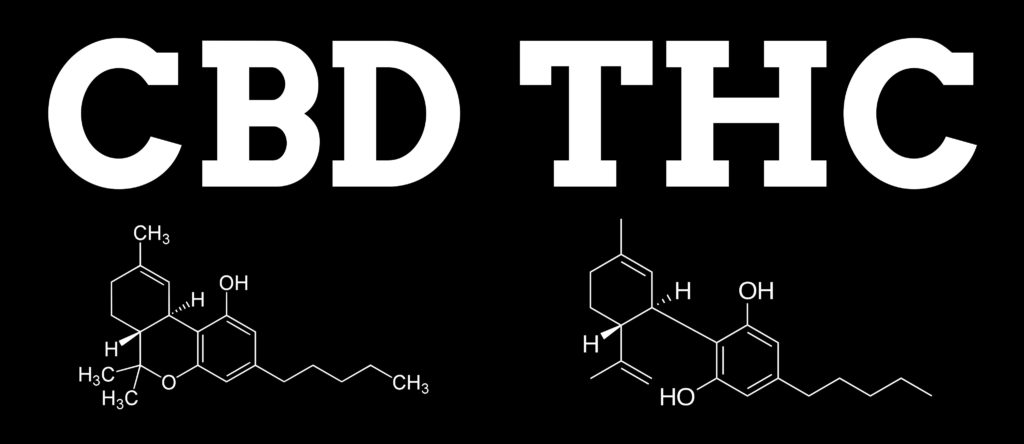 Weeding Out The Differences Between THC and CBD – Weed Seed Shop Blog 