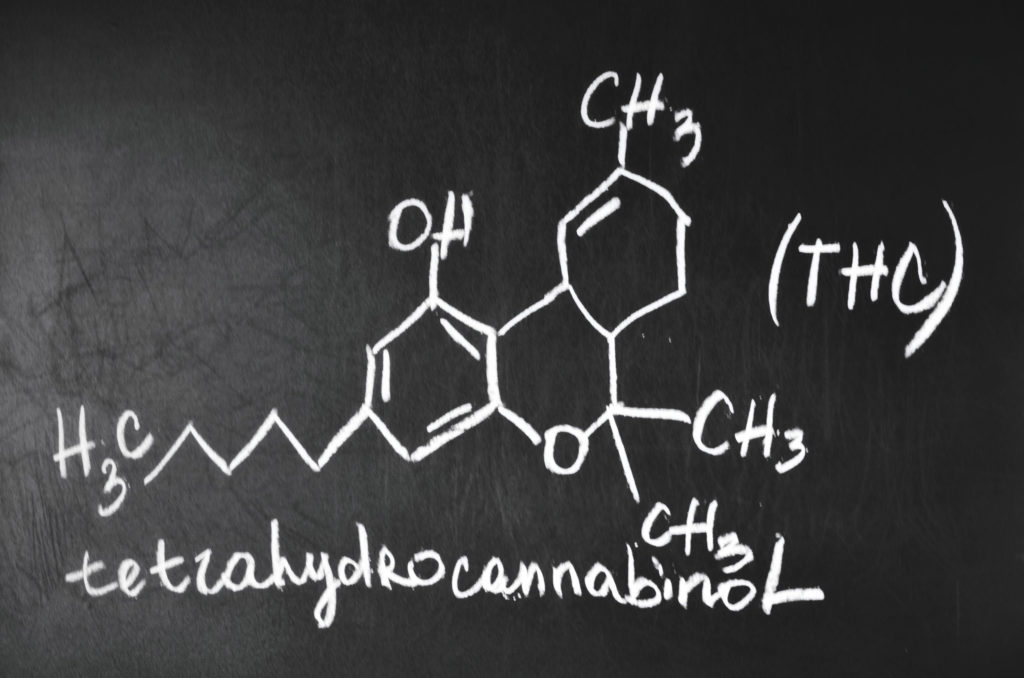 ¿Puedes ser alérgico al cannabis? - WeedSeedShop