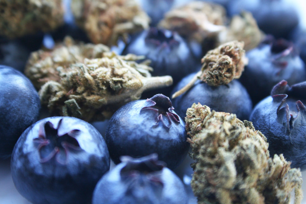 ¿Qué son los flavonoides y qué hacen? - WeedSeedShop