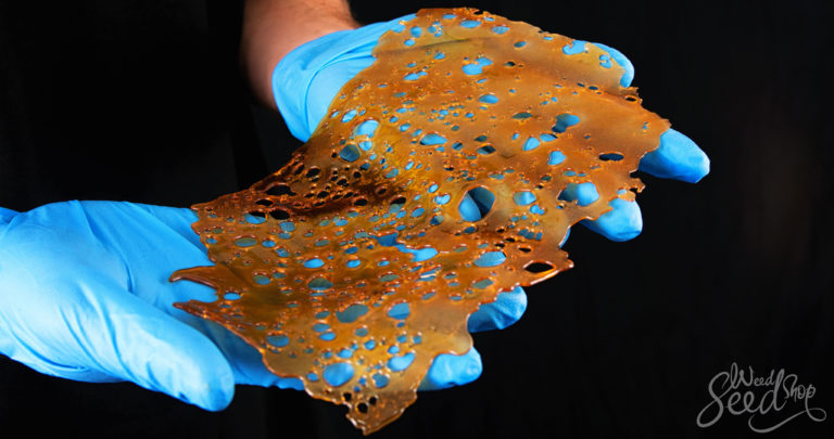 Cannabis Concentrates 101: Which ones are there?