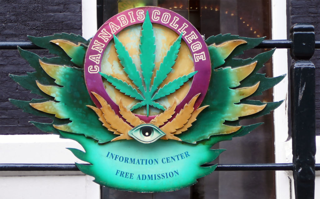 Where can you go to cannabis college? - WeedSeedShop Blog 