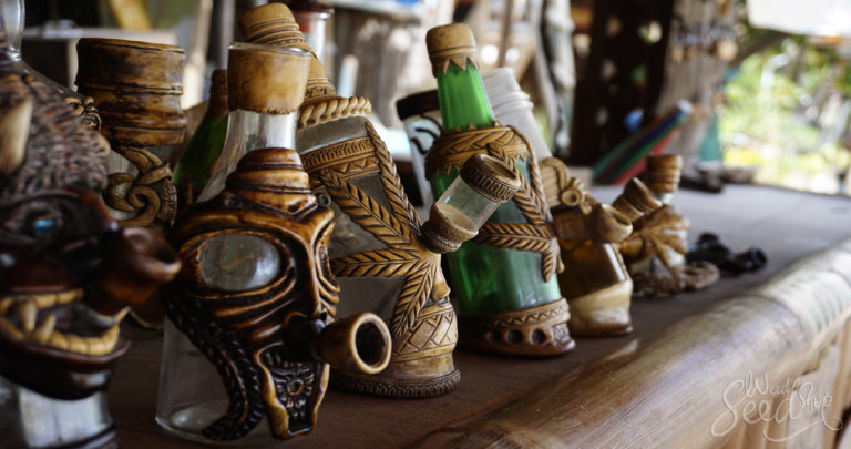 Different Types of Bongs: Which Is Best for You?