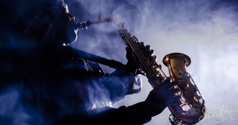 Does Smoking Weed Make Music Sound Better?