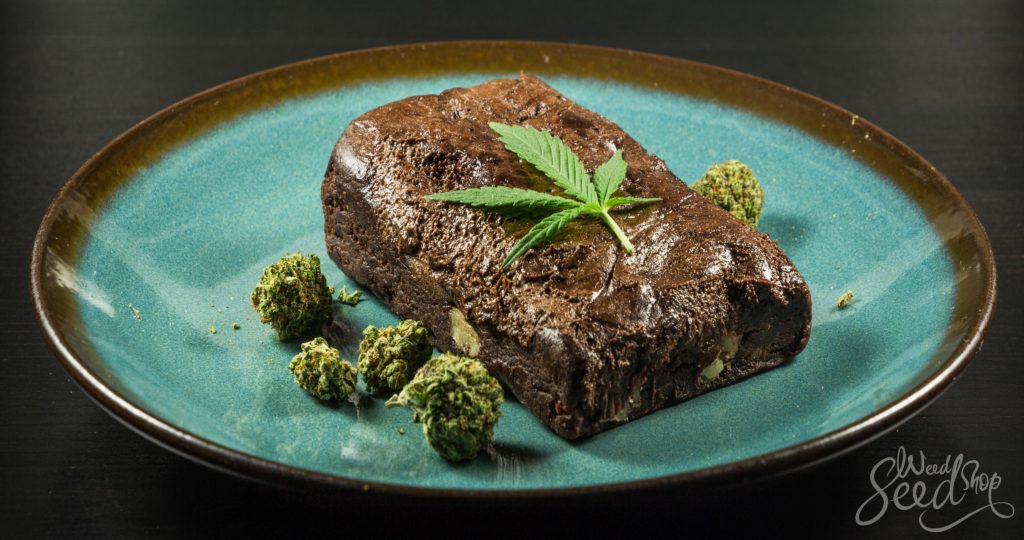 Cannabis Brownies Das Beste Rezept Fur Gras Brownies Weedseedshop