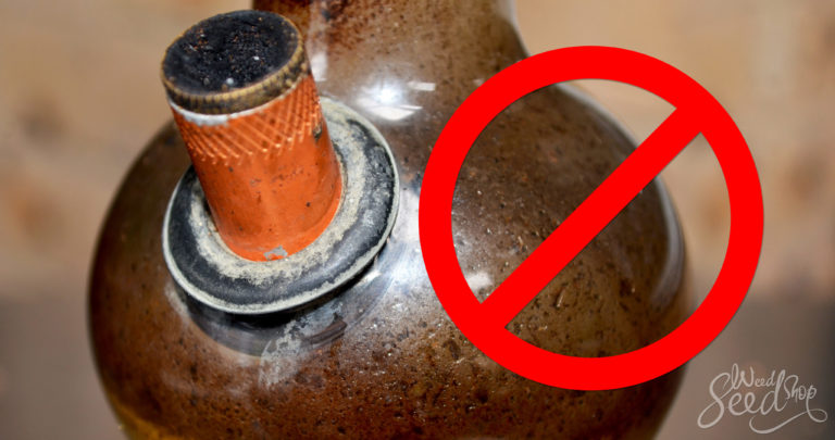 How To Clean Your Bong in 9 Steps!