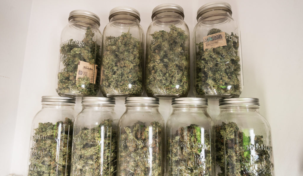 How to Store Weed And Keep It Fresh - WeedSeedShop