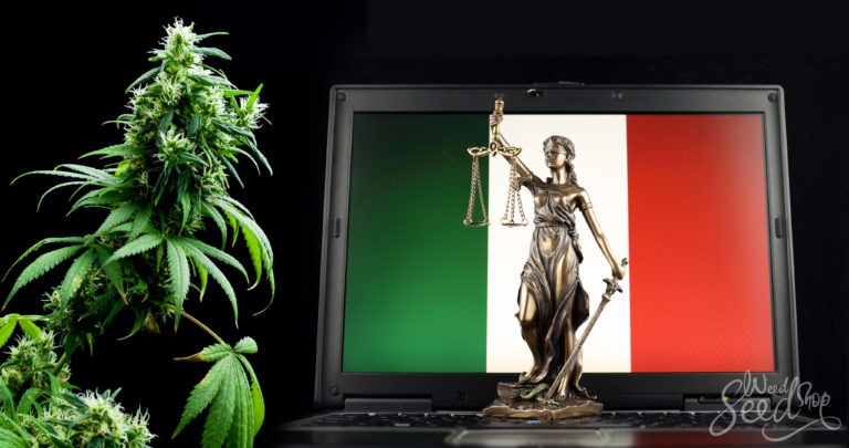 Le cannabis est-il légal en Italie ?