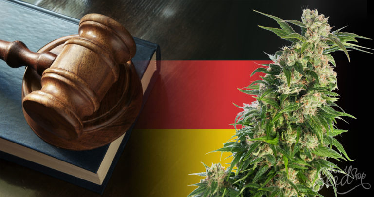 Is wiet legaal in Duitsland? Het laatste nieuws