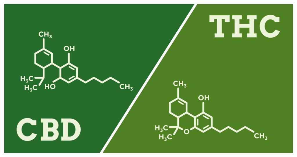 ¿La marihuana es una terapia para el Crohn? - WeedSeedShop