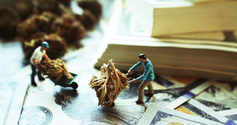 Want A Cannabis Career? These Are The 8 Best Jobs In The Weed Industry