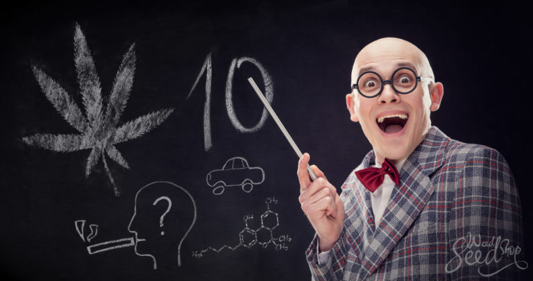 10 mythes tenaces au sujet du cannabis
