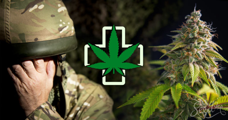 Marijuana and PTSD: Dependency or Treatment?