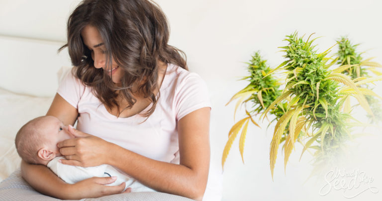 Cannabis use and Breastfeeding: Is it safe?