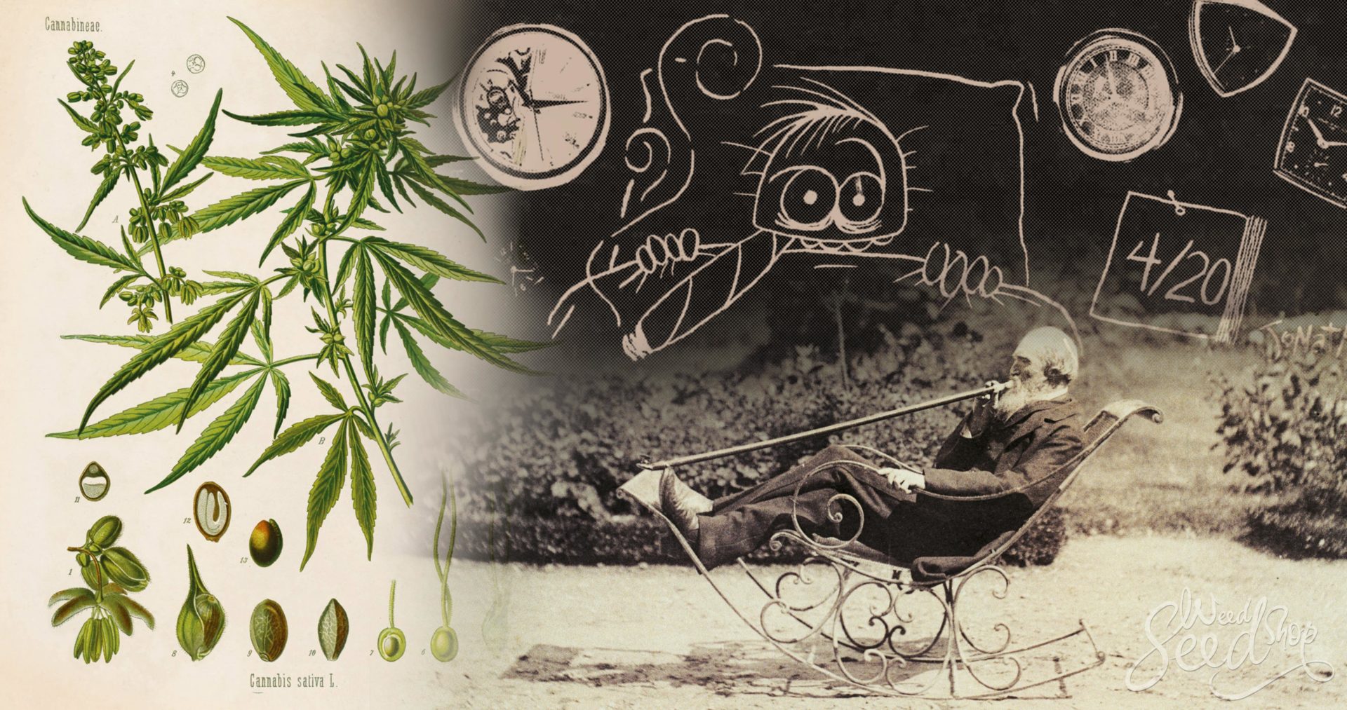 The History Of Cannabis Agriculture – WeedSeedShop Blog