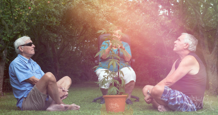 Seniors Using Cannabis: Ten Good Reasons to Explore This Growing Trend