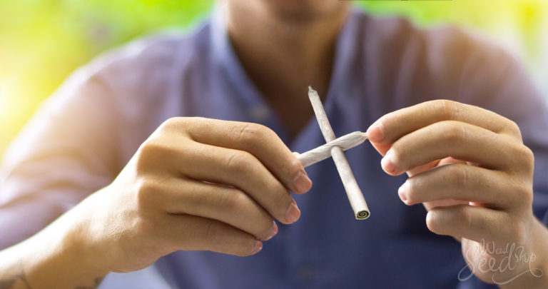 Spliffogami or #JointArt: The Art of Rolling Joints