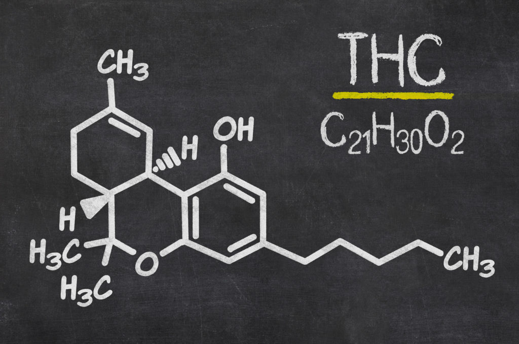 De THC Bijbel – Een Snelcursus in THC - WeedSeedShop