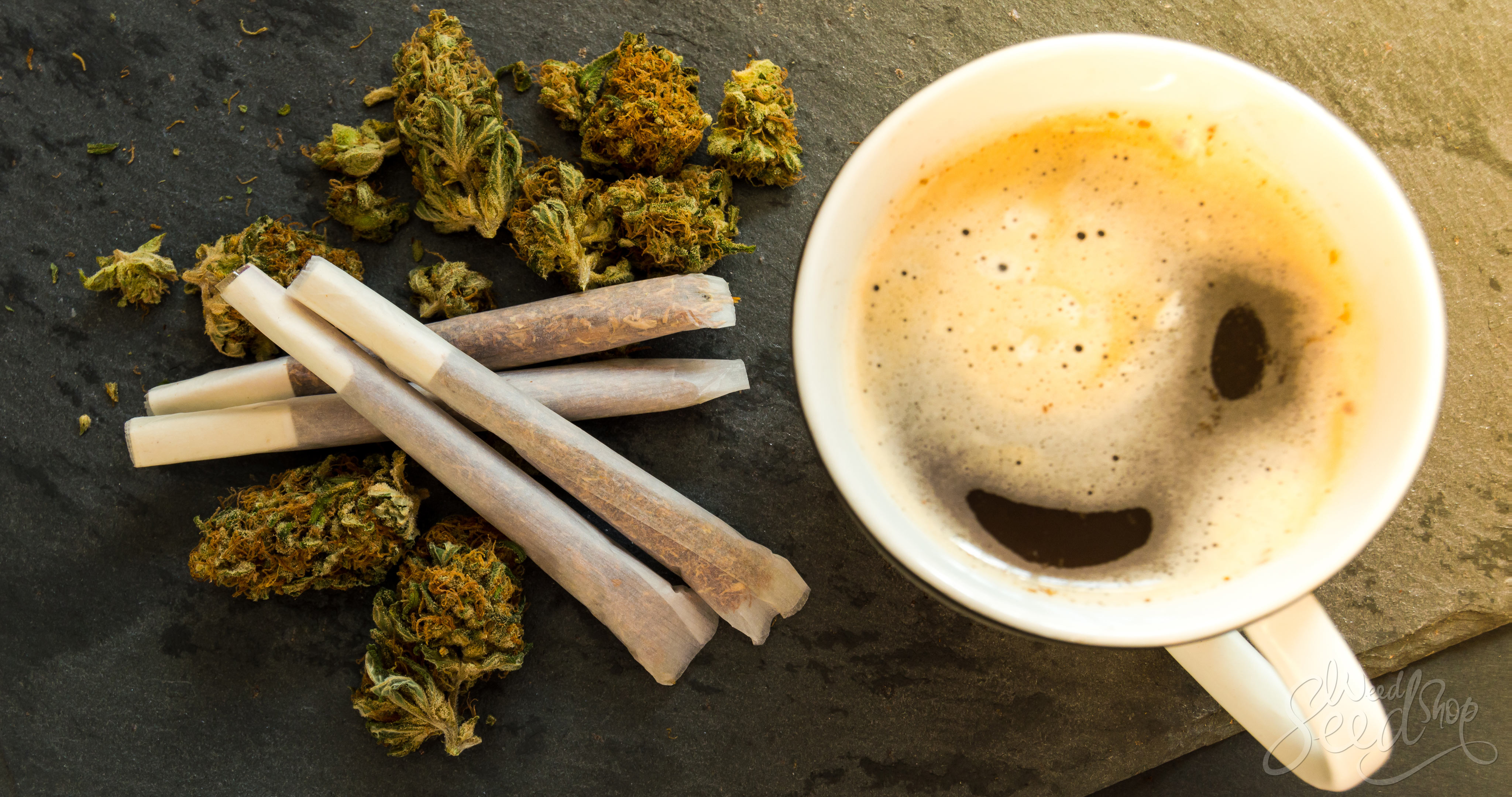 The Pros And Cons Of Wake And Bake Weedseedshop