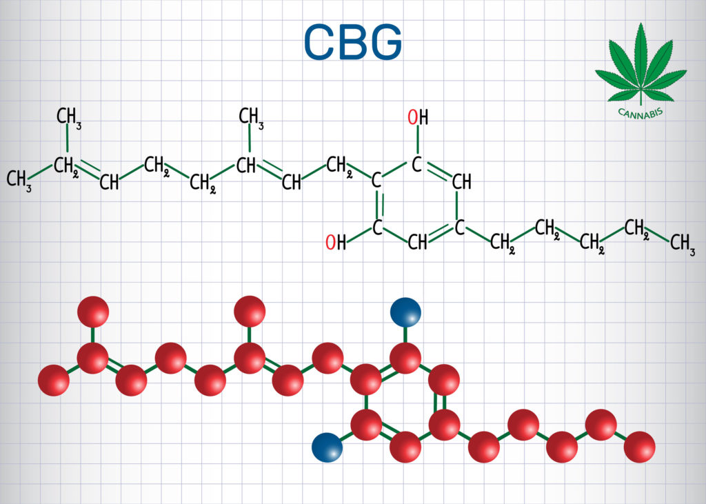 El CBG (Cannabigerol) : El Padre de todos los cannabinoides - WeedSeedShop