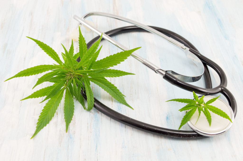 CBG, Cannabigerol: The cannabinoid we shouldn’t ignore 