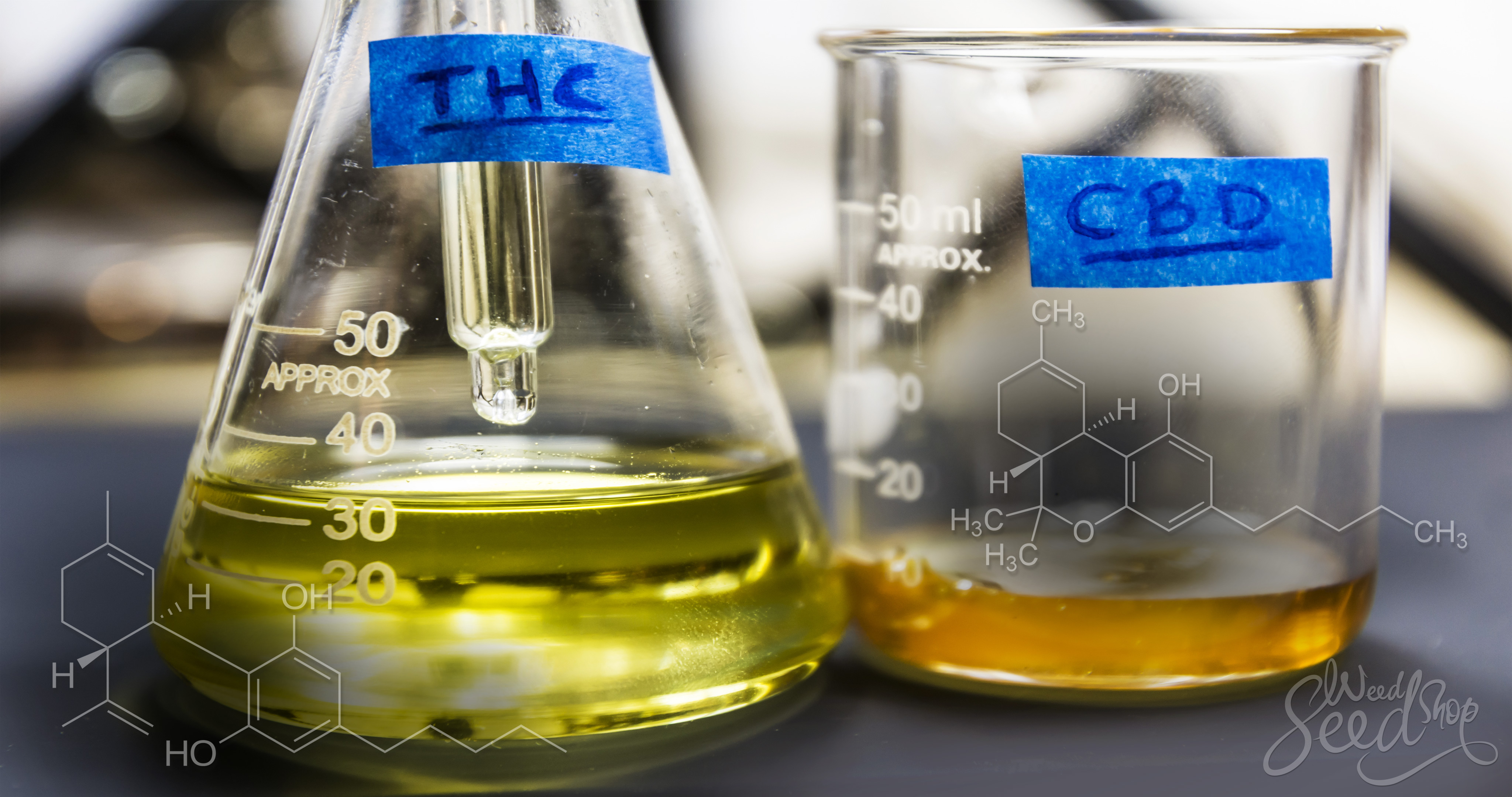 Las Diferencias Entre El THC Y El CBD - WeedSeedShop