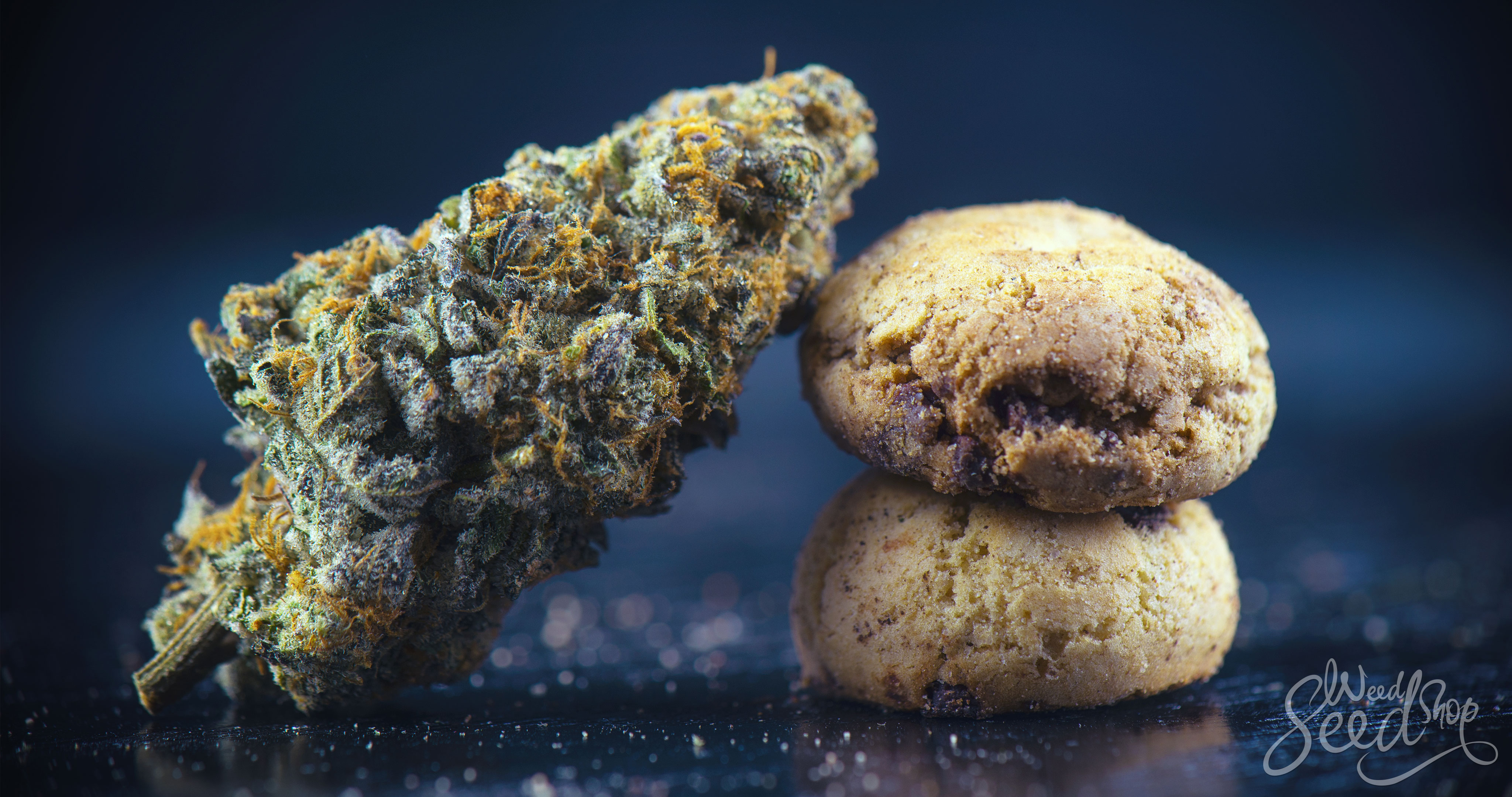 Top 15 Cannabis Edibles On The Market! - WeedSeedShop