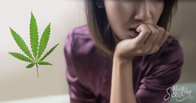Weed and Anxiety: Is It a Treatment or a Cause?