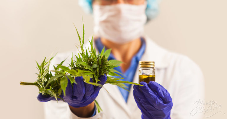 The Herbal Truth – Whole Plant Medicine & The Entourage Effect