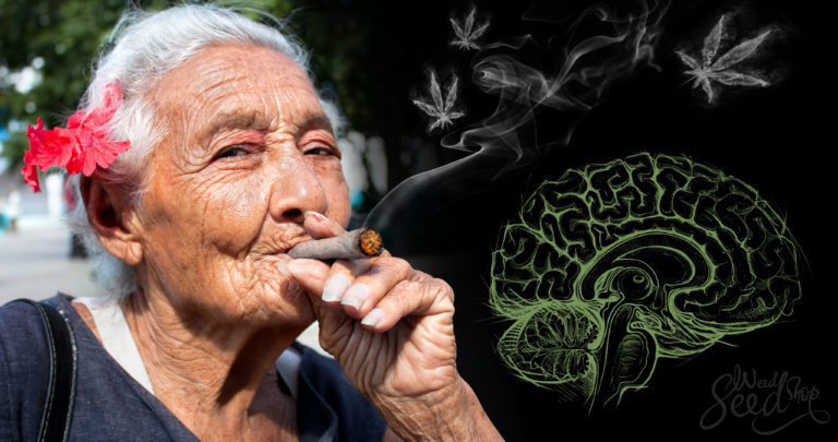 Can Medical Marijuana Treat Parkinson’s Disease?