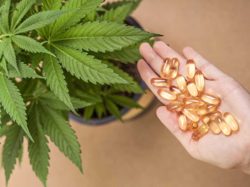 How to make your own cannabis capsules