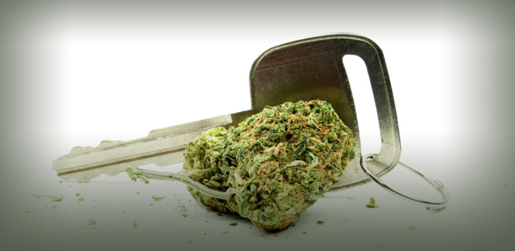 ¿La marihuana te hace un mal conductor? - WeedSeedShop Blog  