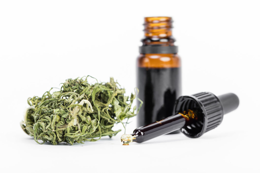 Know the Difference: Hemp Oil vs. Cannabis Oil - WeedSeedShop Blog 