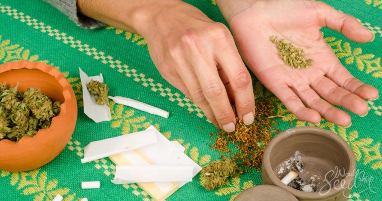 Des herbes pour remplacer le tabac dans les joints