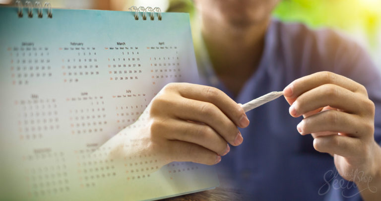 How Long Does THC Stay in Your System?