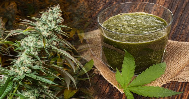 Do You Know The Health Benefits of Raw Cannabis Juice?