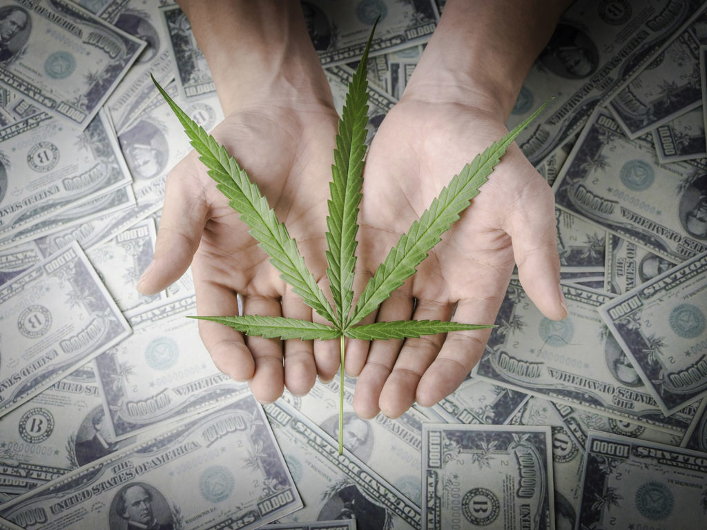 The Clash Between Legal Marijuana and US Employers - Weed Seed Shop Blog