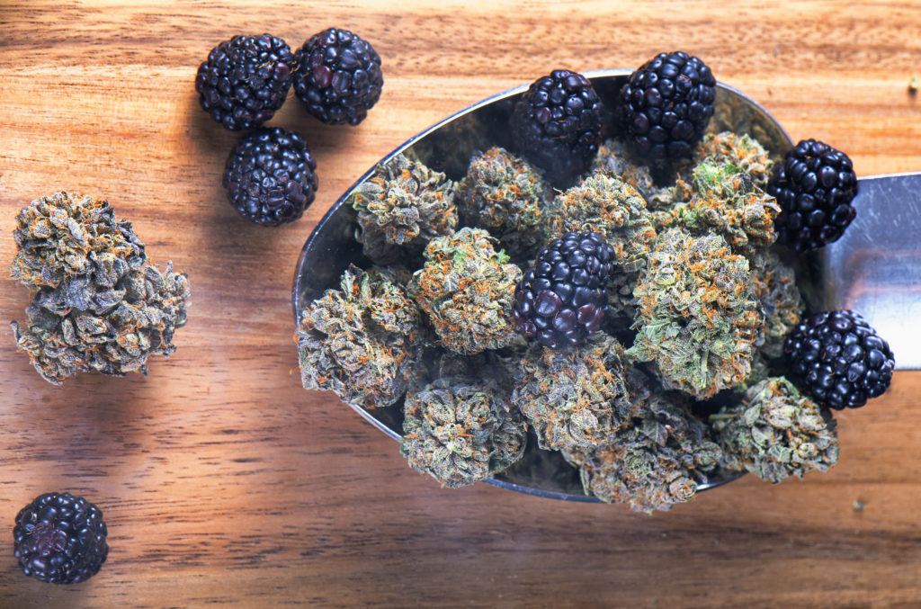 ¿Qué son los terpenos y qué hacen? – WeedSeedShop Blog 